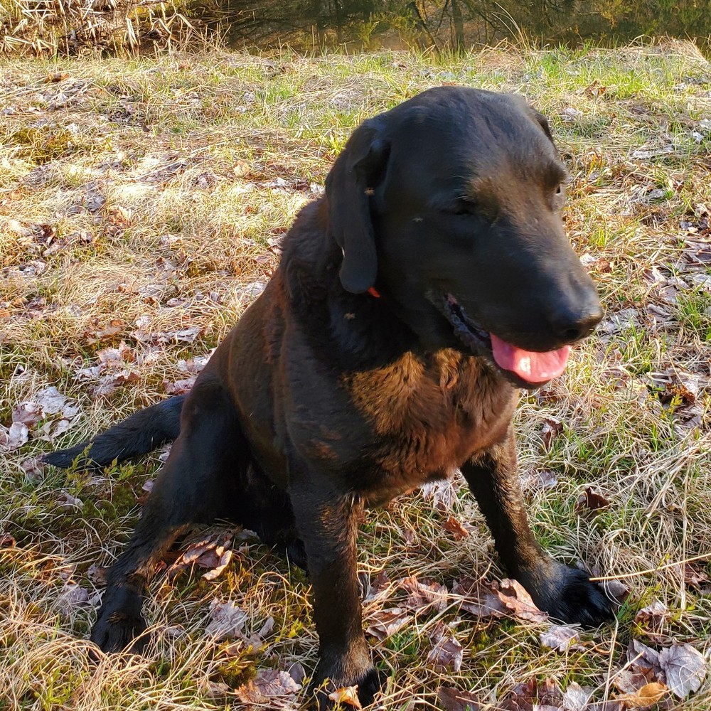 Meet your Posher, Billiejo
